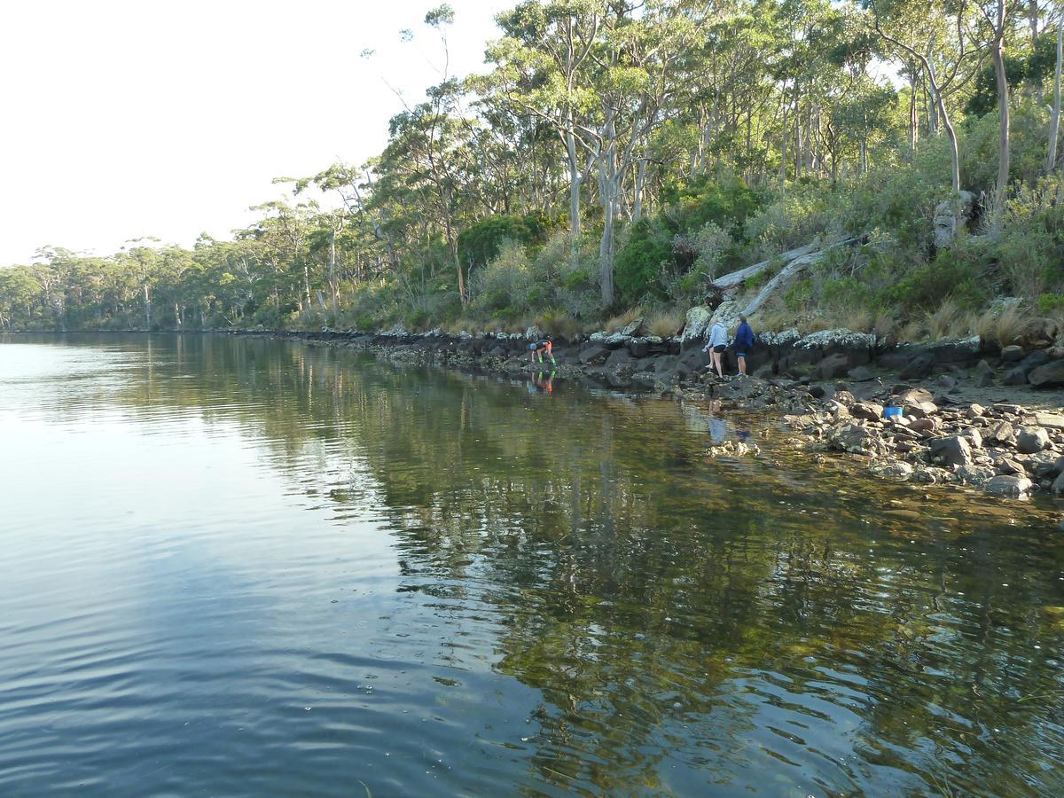 Oyster Shack Lodge